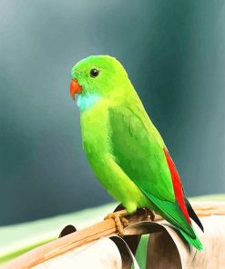 Beautiful Green Parrot NEW paint by number