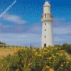 Cape Otway Lightstation Lighthouse Australia diamond paintings