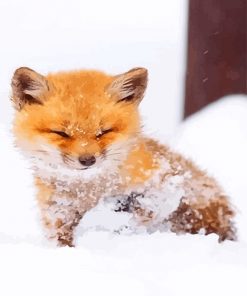 Cute Baby Fox adult paint by number