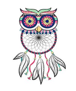 Dream catcher Owl adult paint by numbers