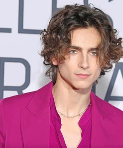 Handsome Chalamet Timothee adult paint by numbers