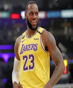 Lebron Jame Lakers adult paint by number