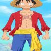 Monkey D Luffy Anime adult paint by numbers