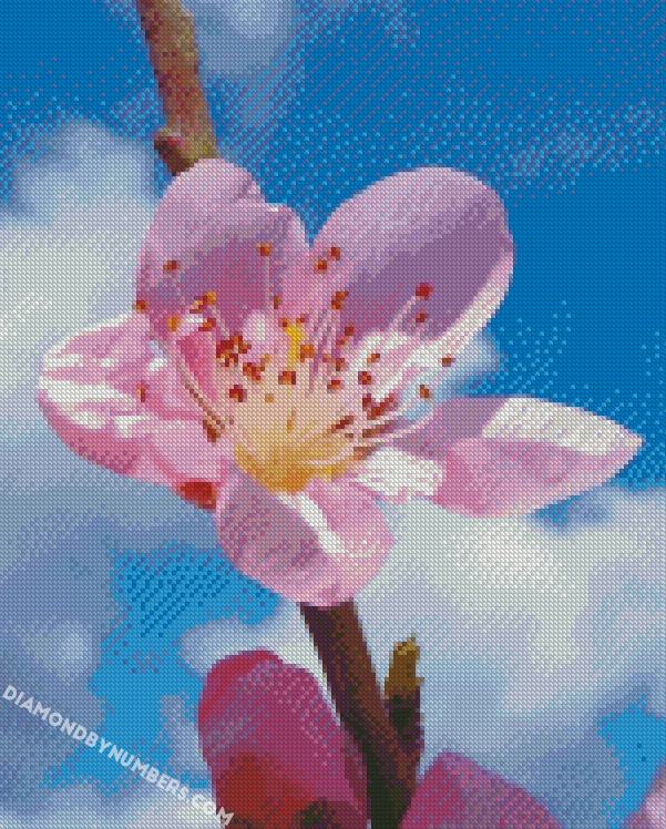 Pink Cherry Blossom Flower - 5D Diamond Paintings - DiamondByNumbers - Diamond  Painting art