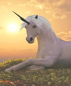 Unicorn Real Look paint by number