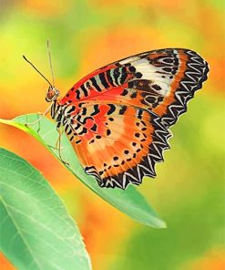 Beautiful Orange Butterfly Paint By Numbers