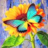 Butterfly On Sunflower Paint By Numbers