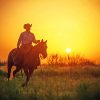 Cowboy Sunset Silhouette Paint By numbers