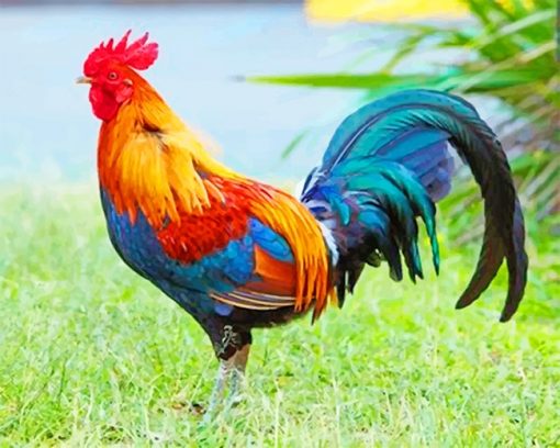 Kauai Chicken Paint By Numbers