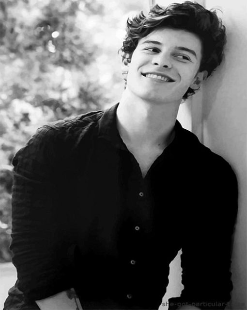 Black And White Shawn Mendes Paint By Numbers
