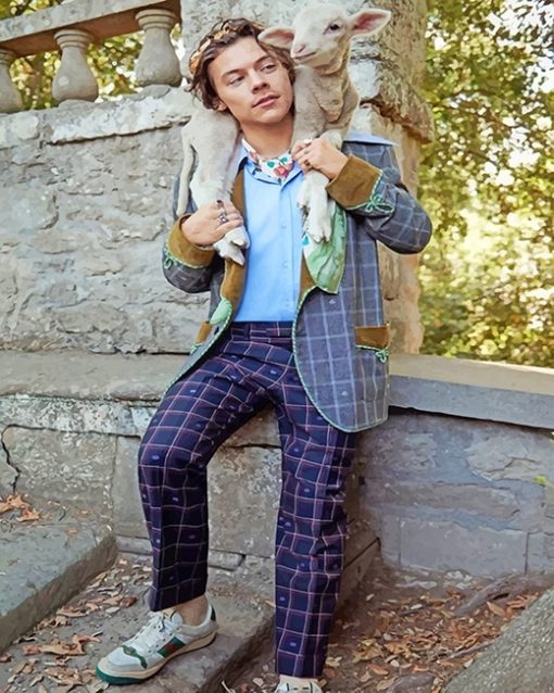 Harry Styles And A Cute Lamb paint By Numbers