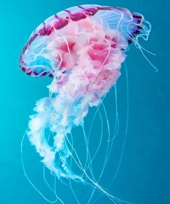 Pink Jellyfish Paint By Numbers