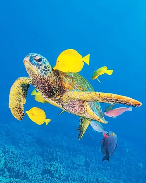Sea Turtle And Fish Paint By Numbers