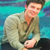 Shawn Mendes Smiling Paint By Numbers