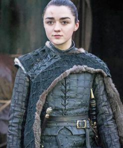 Arya Stark GOT adult paint by numbers