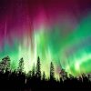 Aurora borealis trees silhouette adult paint by numbers