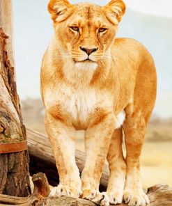Brown lioness standing adult paint by numbers