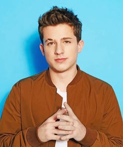 Charlie puth portrait adult paint by numbers