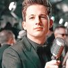 Classy charlie puth adult paint by numbers
