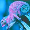 Cool Chameleon adult paint by numbers