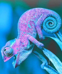 Cool Chameleon adult paint by numbers