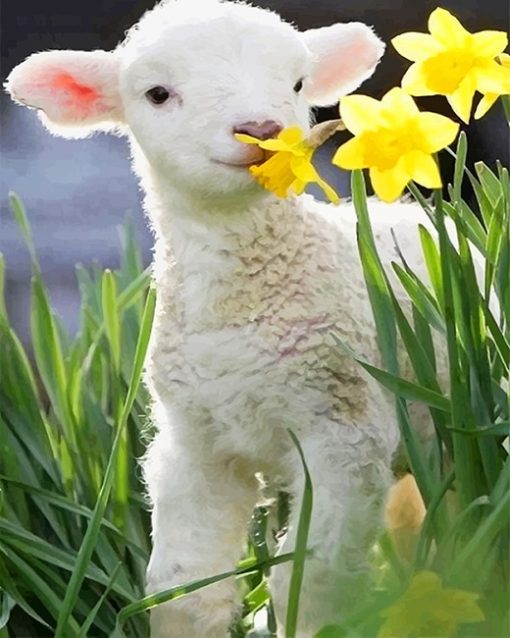 Cute Little Lamb paint by number