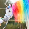 Cute unicorn adult paint by numbers