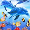 Dolphins underwater with tropical fishes adult paint by numbers
