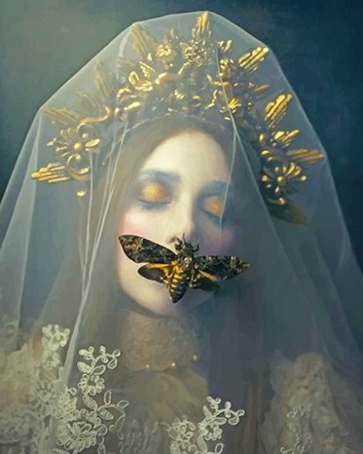 Gothic Butterfly Bride paint by numbers