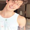 Handsome shawn mendes paint by numbers