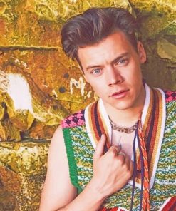 Harry Styles Cool Photo shoot paint By Numbers