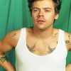 Harry Styles Green Background Paint By Numbers