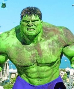Hulk Movie adult paint by numbers
