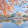 Jefferson Memorial In Cherry Blossom adult paint by numbers