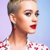 Katy Perry Short Hair adult paint by numbers