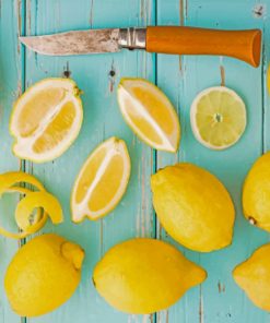 Lemon Fruit paint by numbers