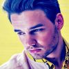 Liam Payne one direction adult paint by numbers
