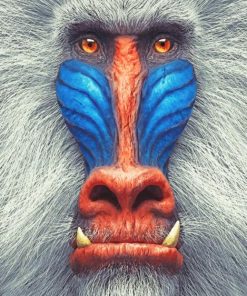 Mandrill Illustration adult paint by numbers