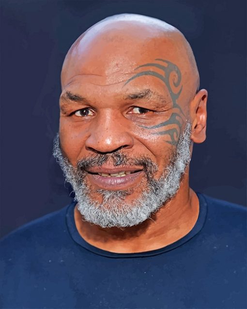 Mike Tyson paint by numbers