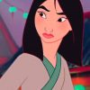 Mulan Disney Princess adult paint by numbers