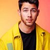 Nick Jonas adult paint by numbers