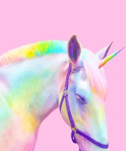 Rainbow Horse paint by number