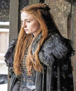 Sansa Stark game of thrones adult paint by numbers