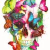 Skull And Butterflies paint by number