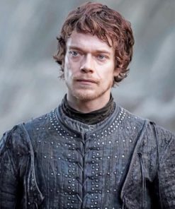 Theon Greyjoy GOT adult paint by numbers