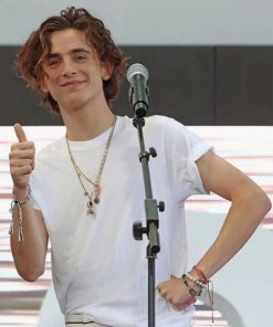 Timothee Chalamet On The Stage adult paint by numbers