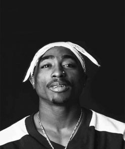 Tupac Black And White paint by number