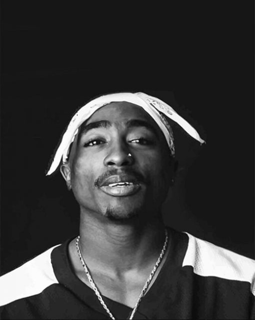 Tupac Black And White paint by number