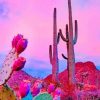 Aesthetic Sky Cactus Paint By Numbers