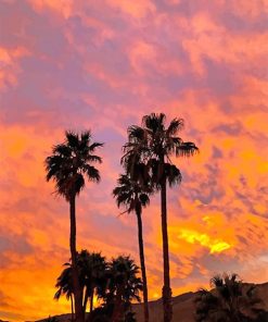 Aesthetic Sky Palm Spring paint by number